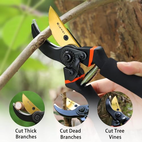 3Pack Pruning Shears (Classic)