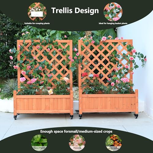 2 Trellis Raised Garden Bed with Wheels (Red Brown / H38 × W28 x D13 in)