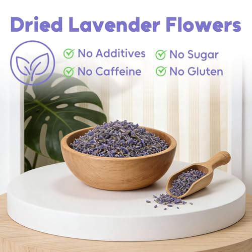 Lavender Tea Bags (100 Count (Pack of 1))