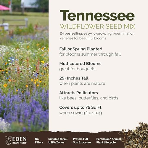 Tennessee Wildflower Mixed Seeds for Planting