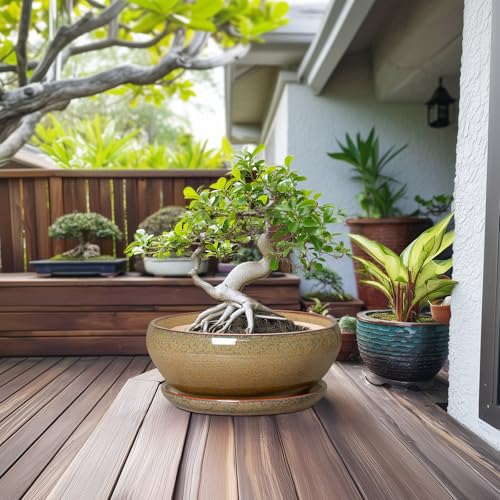 Ceramic Bonsai Pots (12 Inch / Speckled-brown)