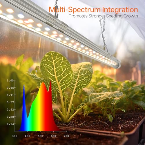 Mini Indoor Greenhouse with Grow Light