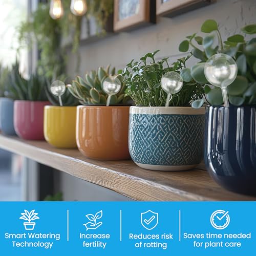 Plant Watering Globes 4 Pack (4pk 200ml Clear Rainbow)