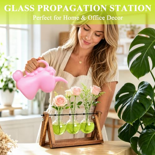Plant Terrarium Kit with Wooden Stand 3 Gradient Green Bulb Vases (Green)