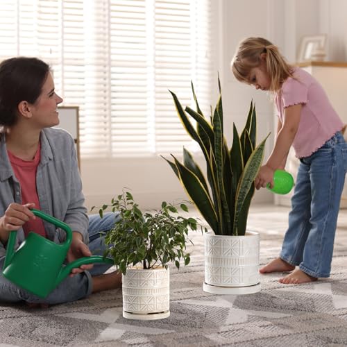 Ceramic Plant Pots Indoor (6 inch / White1)