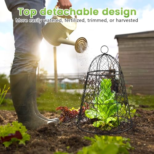 8 Pcs Garden Cloches for Plants