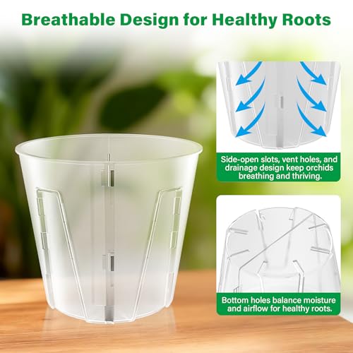 5 Inch Side Open Orchid Pots 12 Pack (5 Inch-12Pcs)