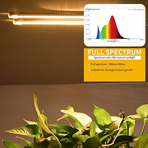 Grow Light Two Heads