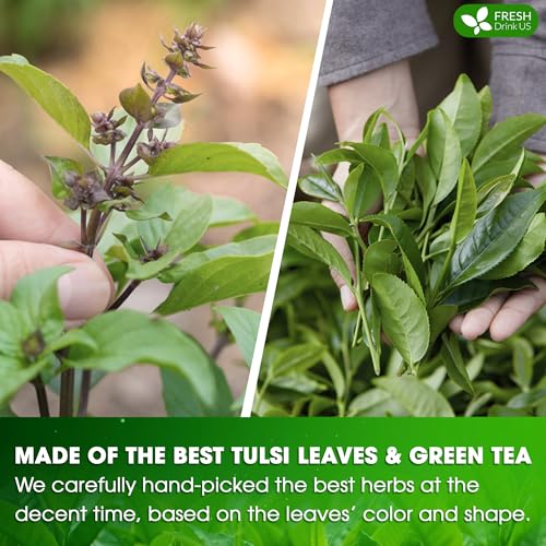 Premium 55 Tulsi Green Tea Bags (55 Teabags)