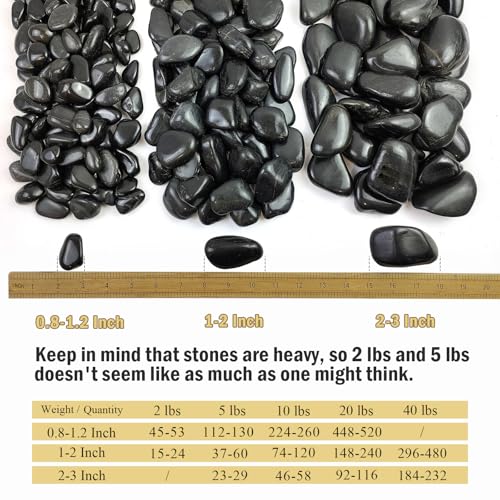 5 lbs Black River Rocks (5 Count (1 bag))