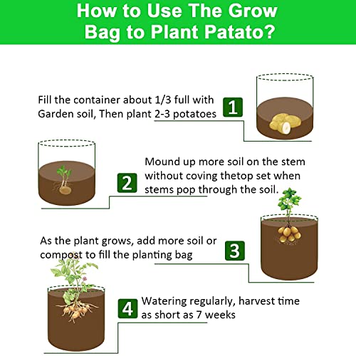 4 Pack Potato Grow Bags 10 Gallon with Flap (Black 10 Gallon / 4 Pack with Window)