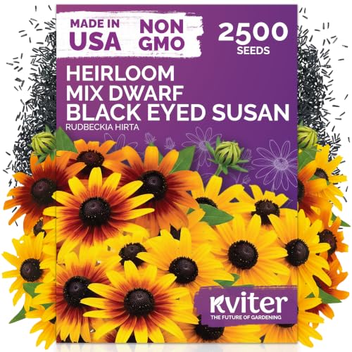2 500 Mix Dwarf Black Eyed Susan Heirloom Flower Seeds