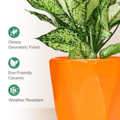 Ceramic Plant Pots Set of 3 (2-orange)