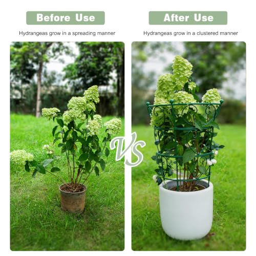24.6" Peony Support Heavy Duty Garden Cage for Peonies (Green / 24.6"x17")
