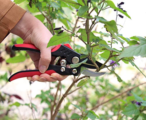 S851A Bypass Pruning Shears with Compound Action (S851A Bypass Pruner with Compound Action)