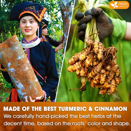Premium 135 Turmeric Cinnamon Tea Bags (135 Count)