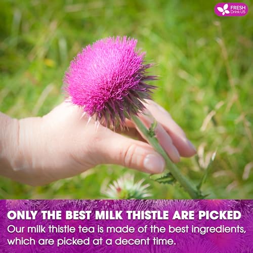 Premium 205 Milk Thistle Tea Bags (205 Tea Bags)