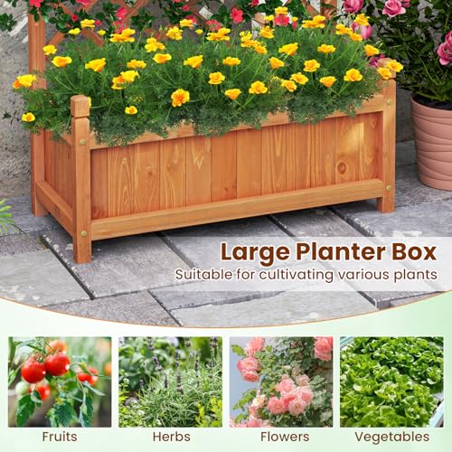 Raised Garden Bed with Trellis Set of 2 (Orange / 28"Lx13"Wx60"H)