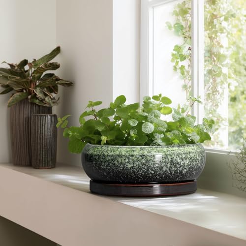 Bonsai Pots 13 Inch Ceramic Succulent Planters Indoor (13 Inch / Retro Green)