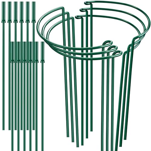 6 Pack 32 or 16 inch Adjustable Plant Support Stakes (Green - 6 Pack / 10" W x 31.8" H)