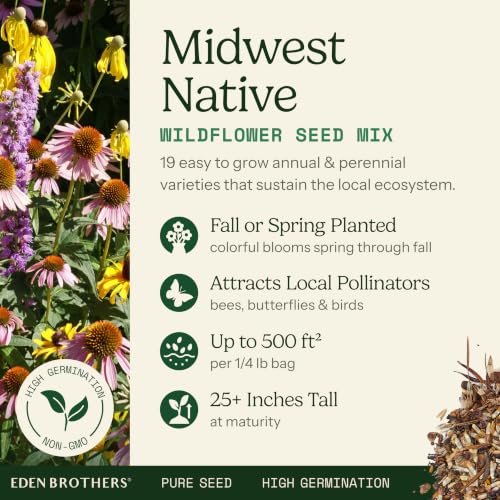 Native Midwest Wildflower Seed Mix (1/4 Pound / Native Midwest)