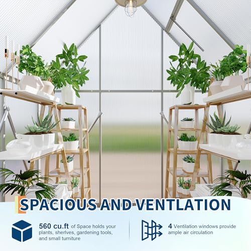 6X4FT Polycarbonate Greenhouse with Aluminum Frame (Silver / 6x4FT)