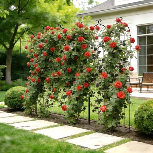 Garden Trellis (6 Packs-Style2 / 87''H x 20''W)