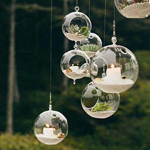 WGV Hanging Terrarium Globe (24 Count)