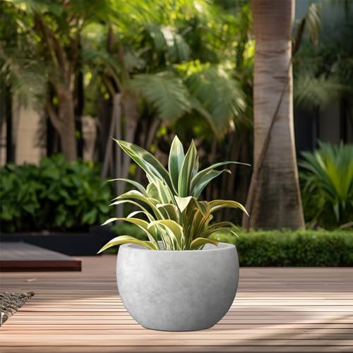 Small Round Bowl Pale Gray Concrete Planter 11.8" Dia (Natural Concrete / 11.8" d)