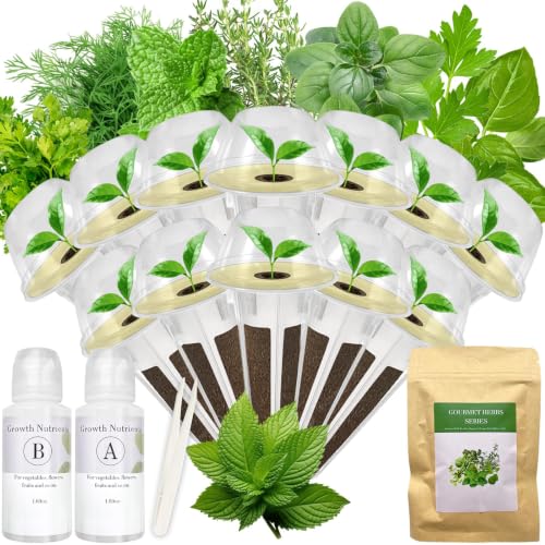Gourmet Herb Seed Pod Kit for Hydroponic System (12-pod / Herb)