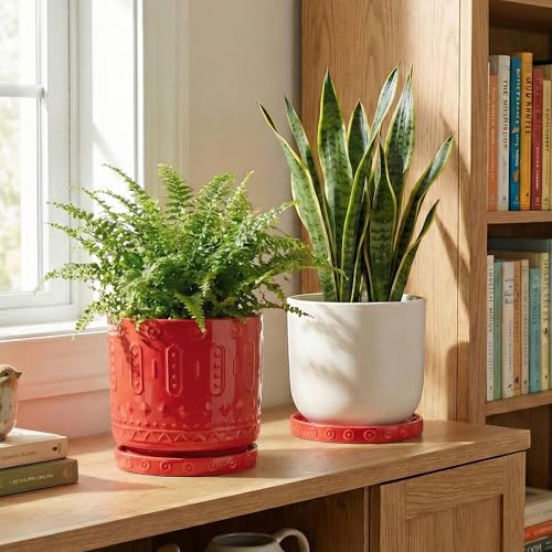 2 Pack Plant Water Catcher Tray (5.6 Inch (2 Pack) / Red)