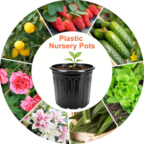 50 Pack 3 Gallon Black Flexible Flower Plant Nursery Pots (3 Gallon / 50P)