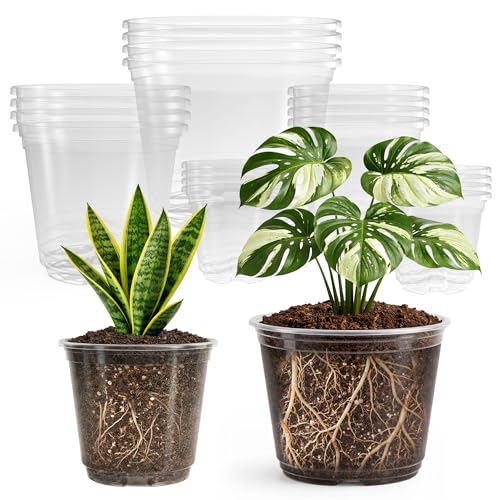 Clear Nursery Pots with Drainage (3.5/4/5/6/8 Inch-20Pcs)