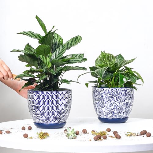 Ceramica Plant Pots (Vintage Blue / 6.5 Inch, Set of 2)