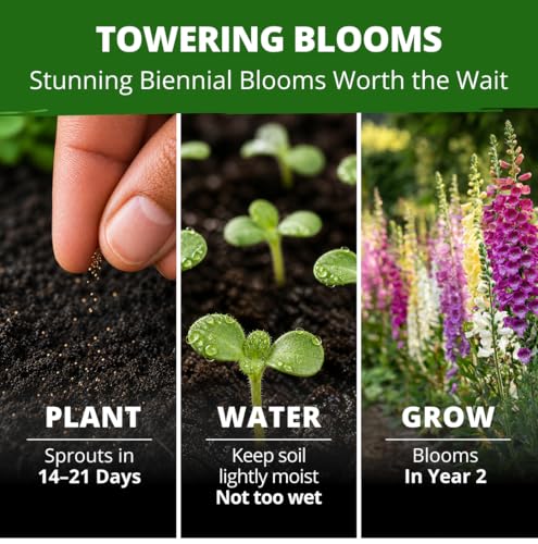 Foxglove Mix 148