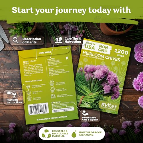 1 200 Chive Heirloom Herb Seeds for Planting