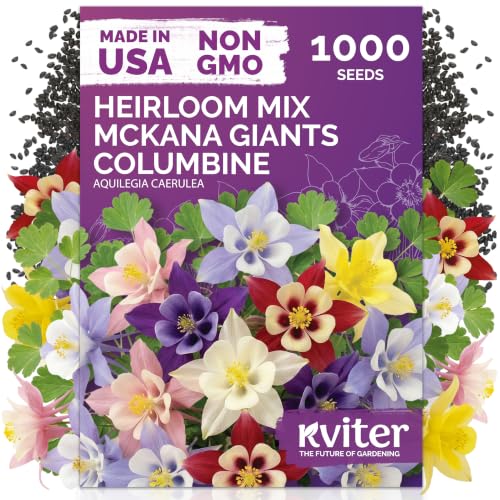 1 000 McKana Giants Mix Columbine Heirloom Flower Seeds