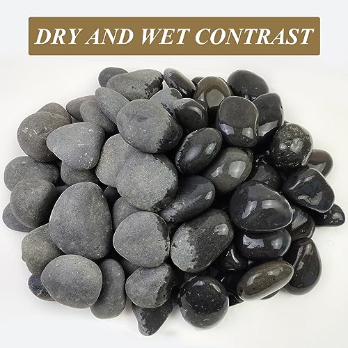 10 lbs Black Pebbles for Indoor Plant (160 Ounce)