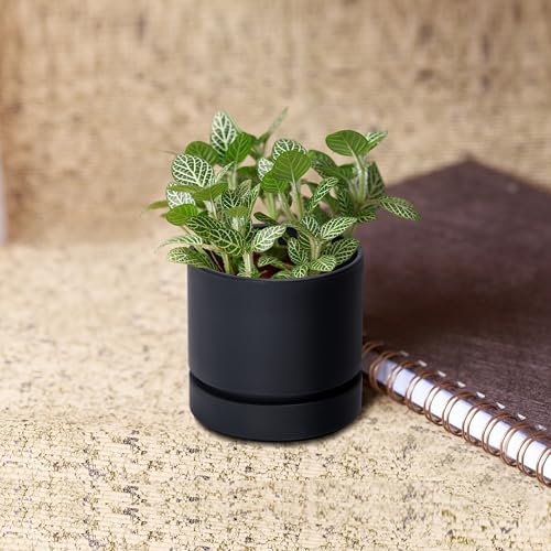 4 Inch Planter Pot with Drainage Hole & Saucer
