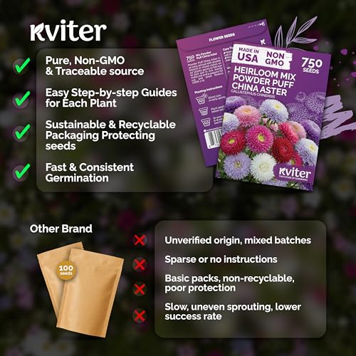 750 Mix Powder Puff China Aster Annual Flower Seeds