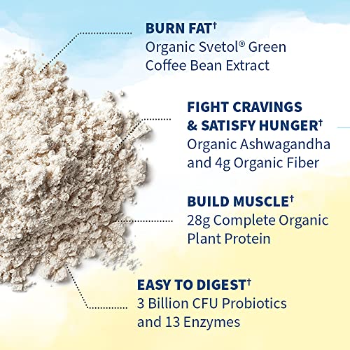 Raw Organic Fit Vegan Protein Powder (1.03 Pound (Pack of 1))