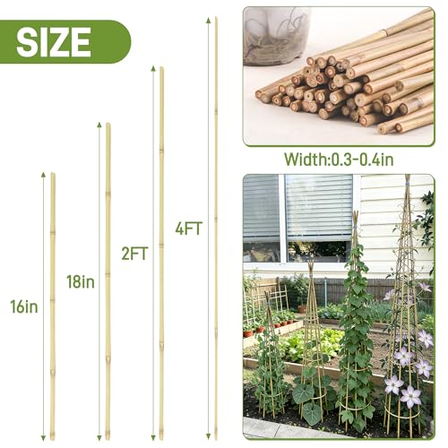 0.32”-0.4"/18Inch Garden Stakes, Natural Bamboo Sticks Plant Stakes for Indoor and Outdoor Plants，Poles for Tomatoes, Beans, Potted Plants(50Pcs)… (50 Count)