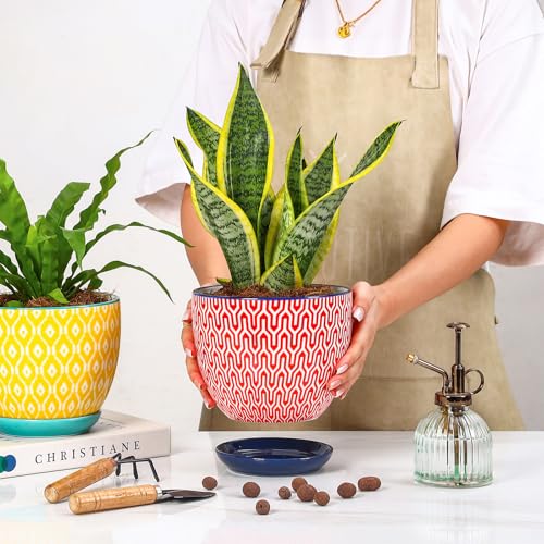 Ceramica Plant Pots (Assorted Colors / 6.5 Inch, Set of 2)