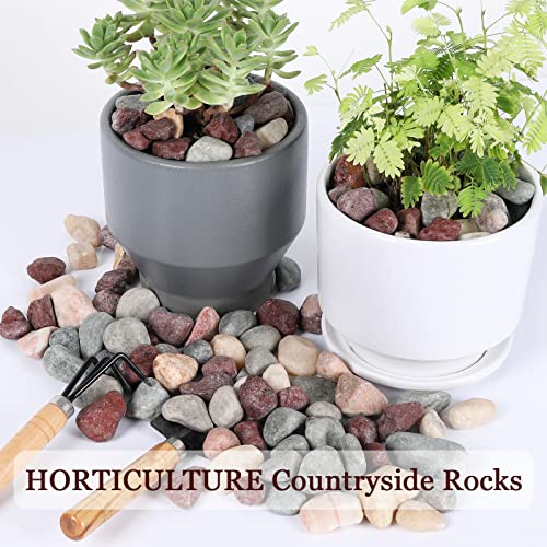 5lbs Natural River Rocks (5 Pounds / Idyllic)
