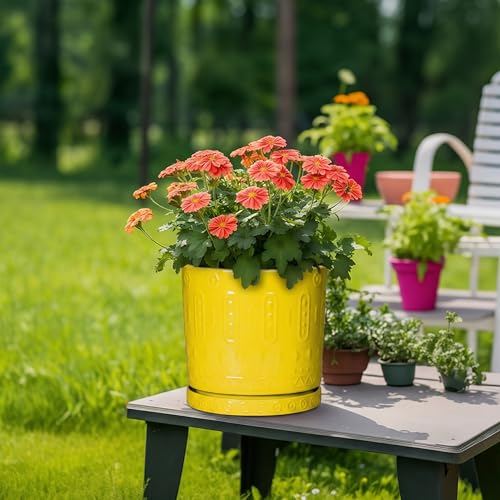 Plant Saucers for Indoors (9.3 Inch / Yellow)