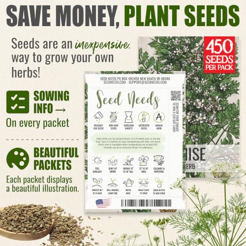 Anise Seeds to Plant Annual Heirloom Non (5 Packs)