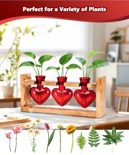 Plant Terrarium with Wooden Stand (Red)