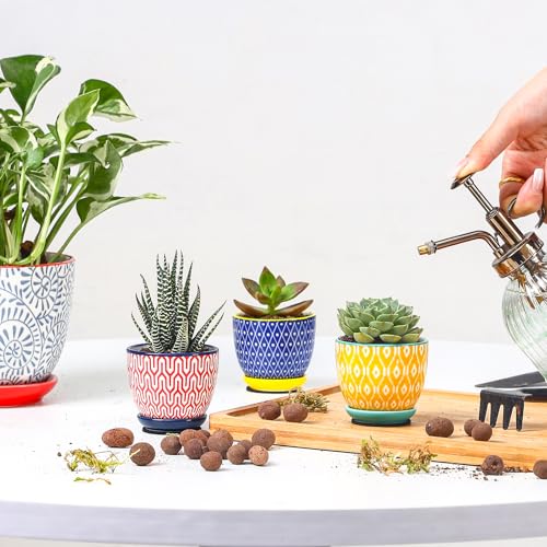 Ceramic 2.4 Inch Succulent Pots (Assorted Colors / 2.4 Inch, Set of 6)