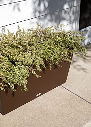 Pure Series Midori Planter (Espresso / 39 inch)