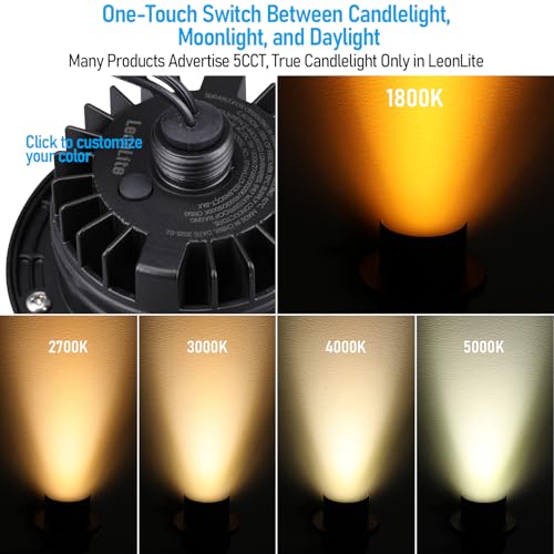 6 Pack Dia.4 Inch 5CCT Well Lights Shielded Top Black (Black)